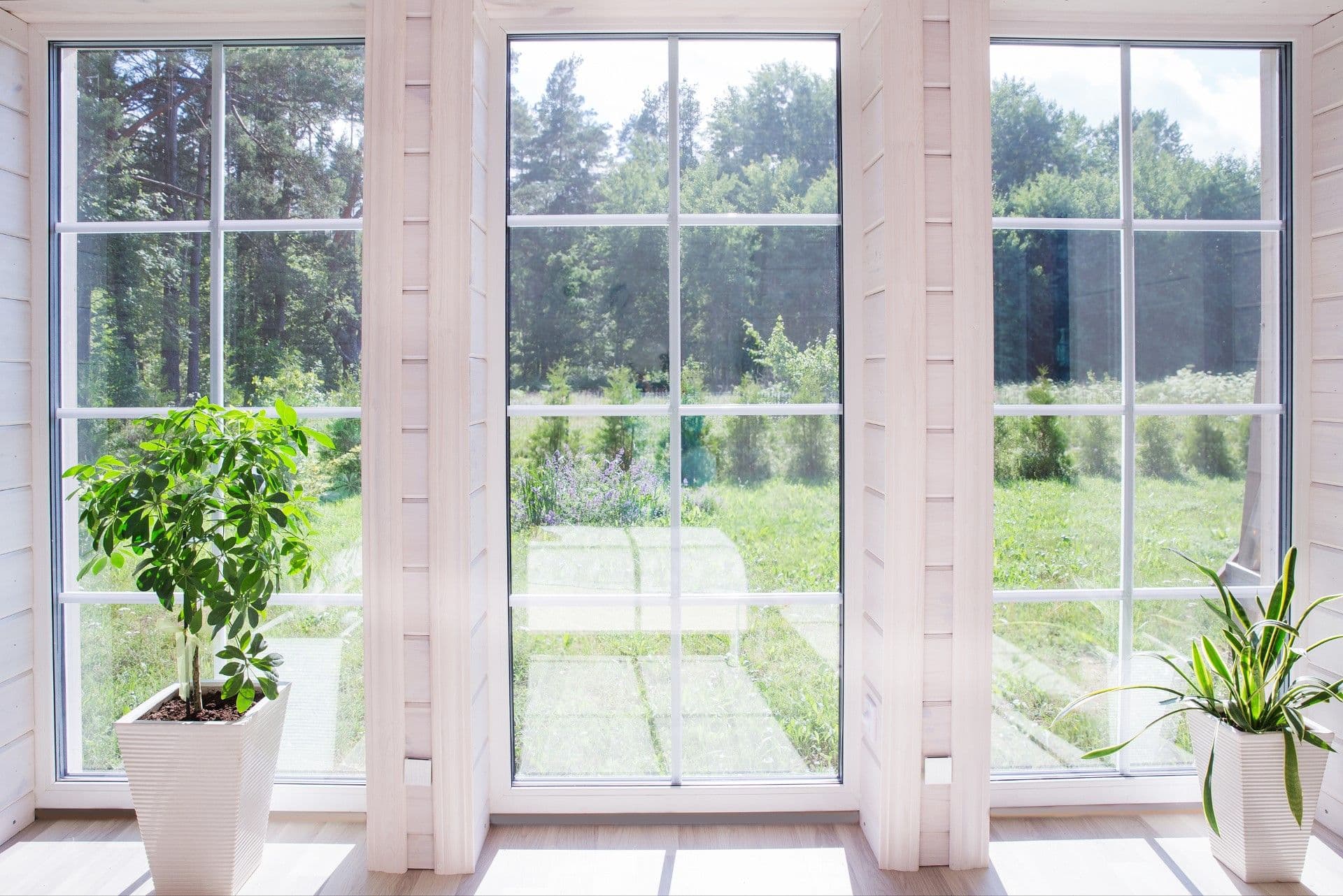 Window